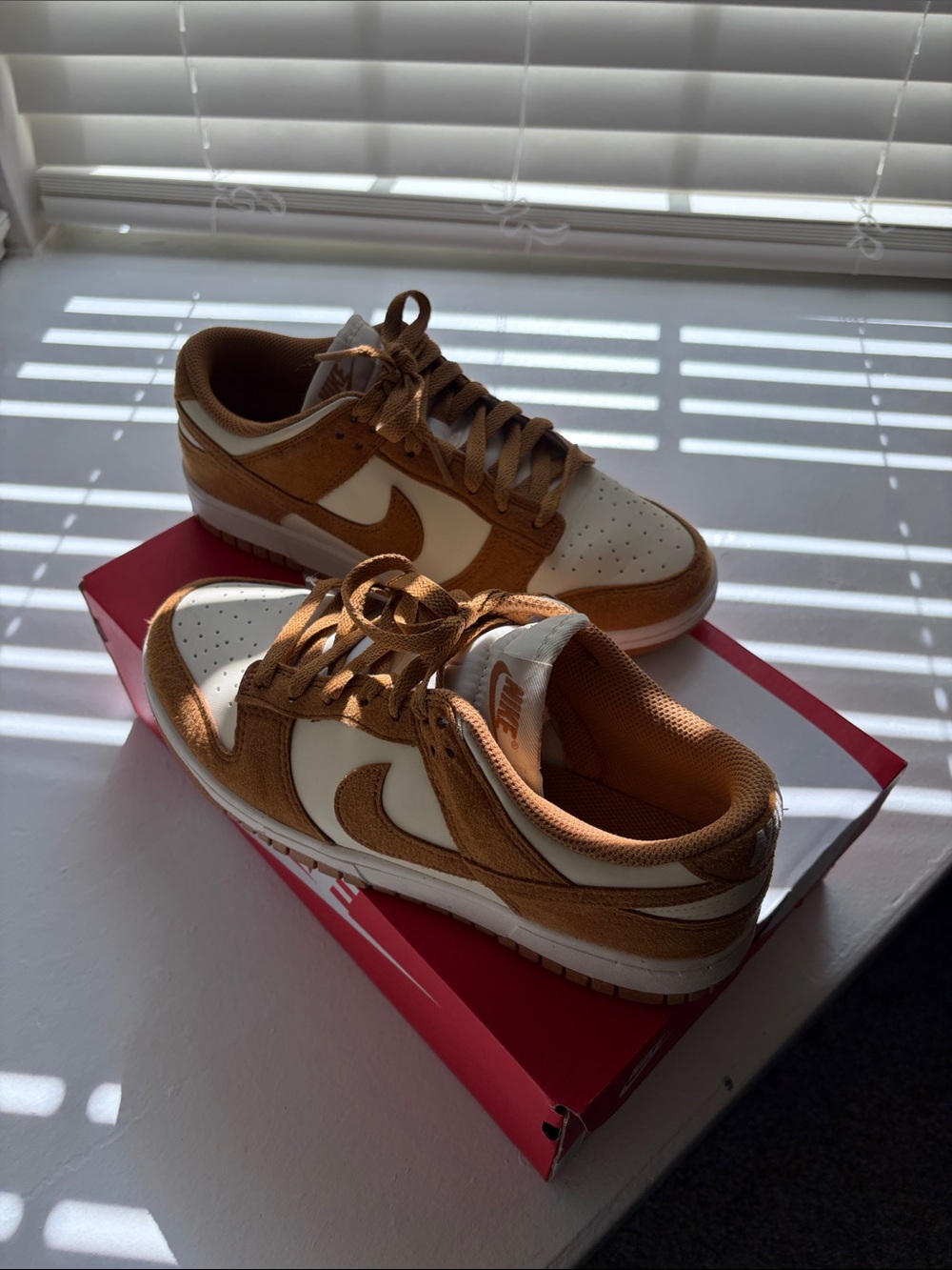 Nike Women Dunks Low